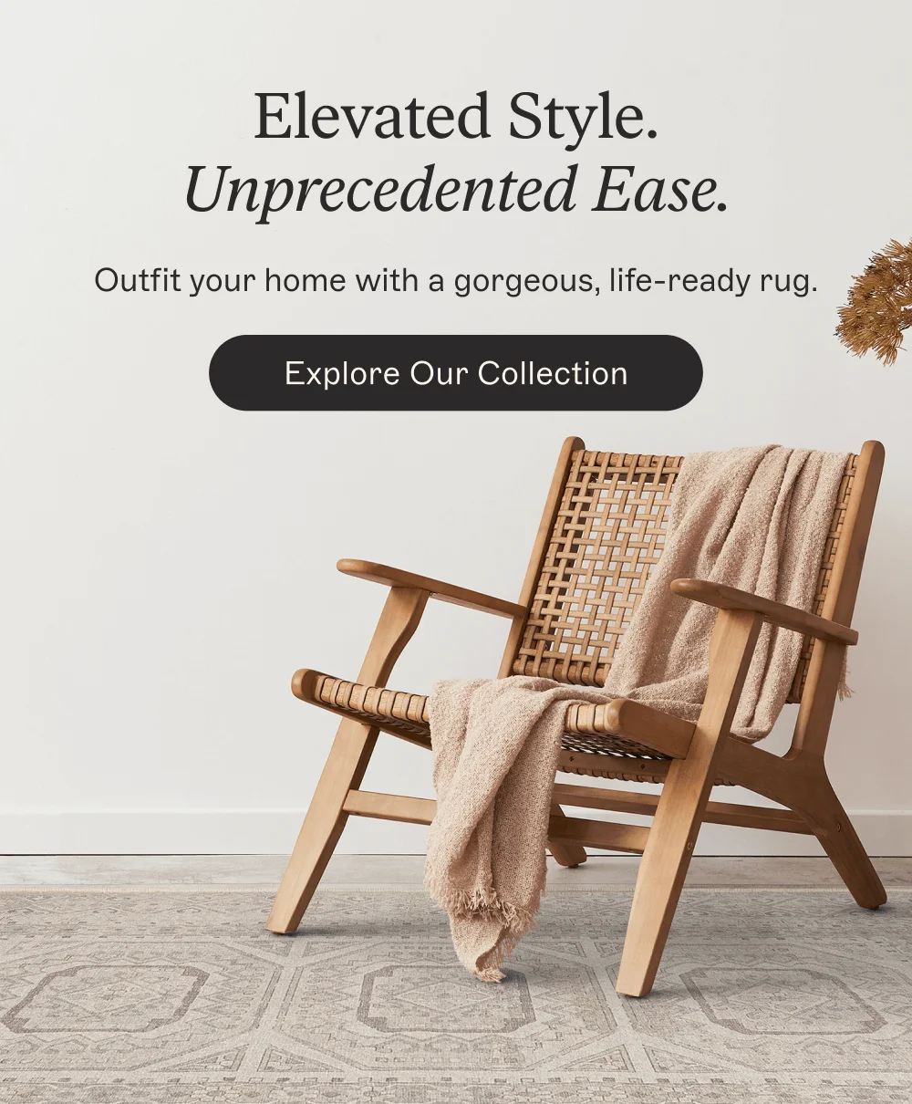 [ Explore Our Collection ]