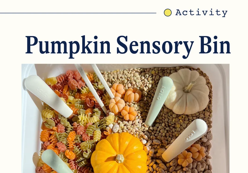 Activity: Pumpkin Sensory Bin
