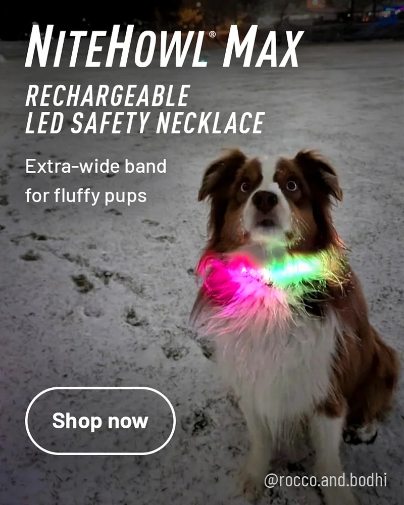 NiteHowl® Max Rechargeable LED Safety Necklace