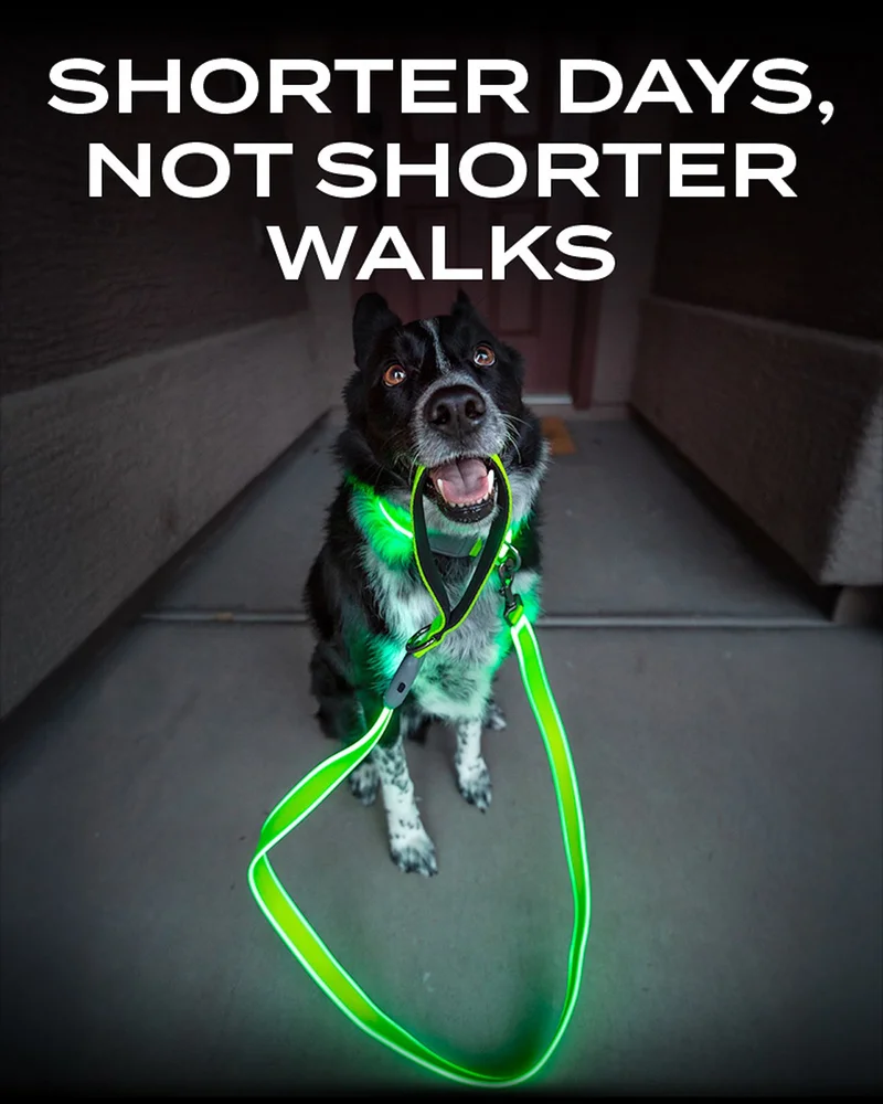 Shorter days, not shorter walks