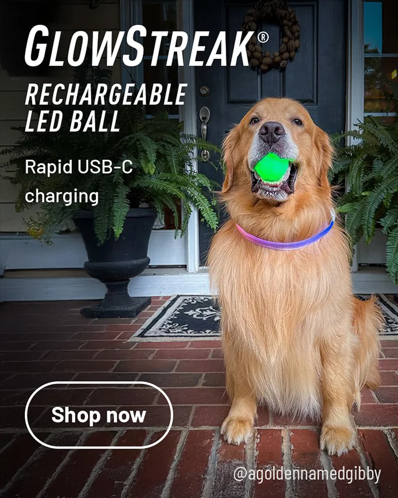 GlowStreak® Rechargeable LED Ball
