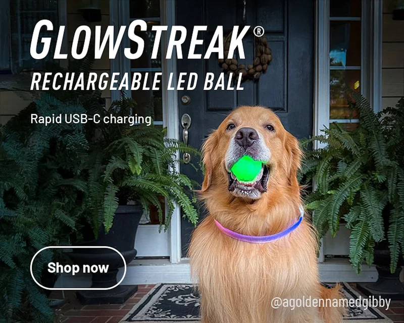 GlowStreak® Rechargeable LED Ball