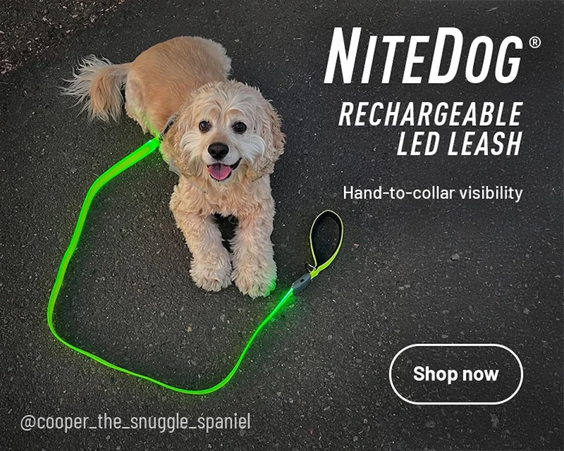 NiteDog® Rechargeable LED Leash
