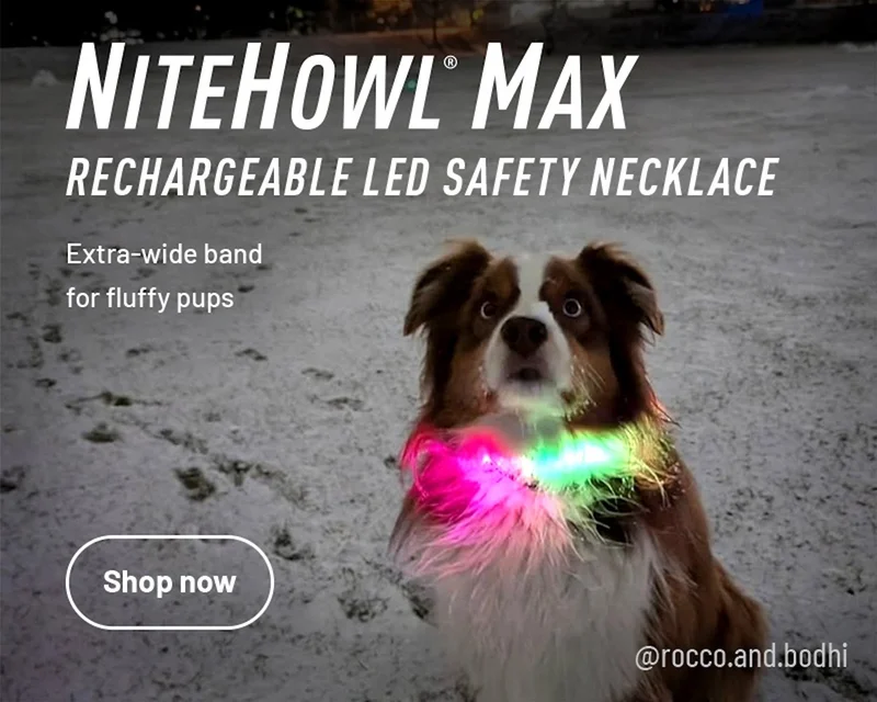 NiteHowl® Max Rechargeable LED Safety Necklace