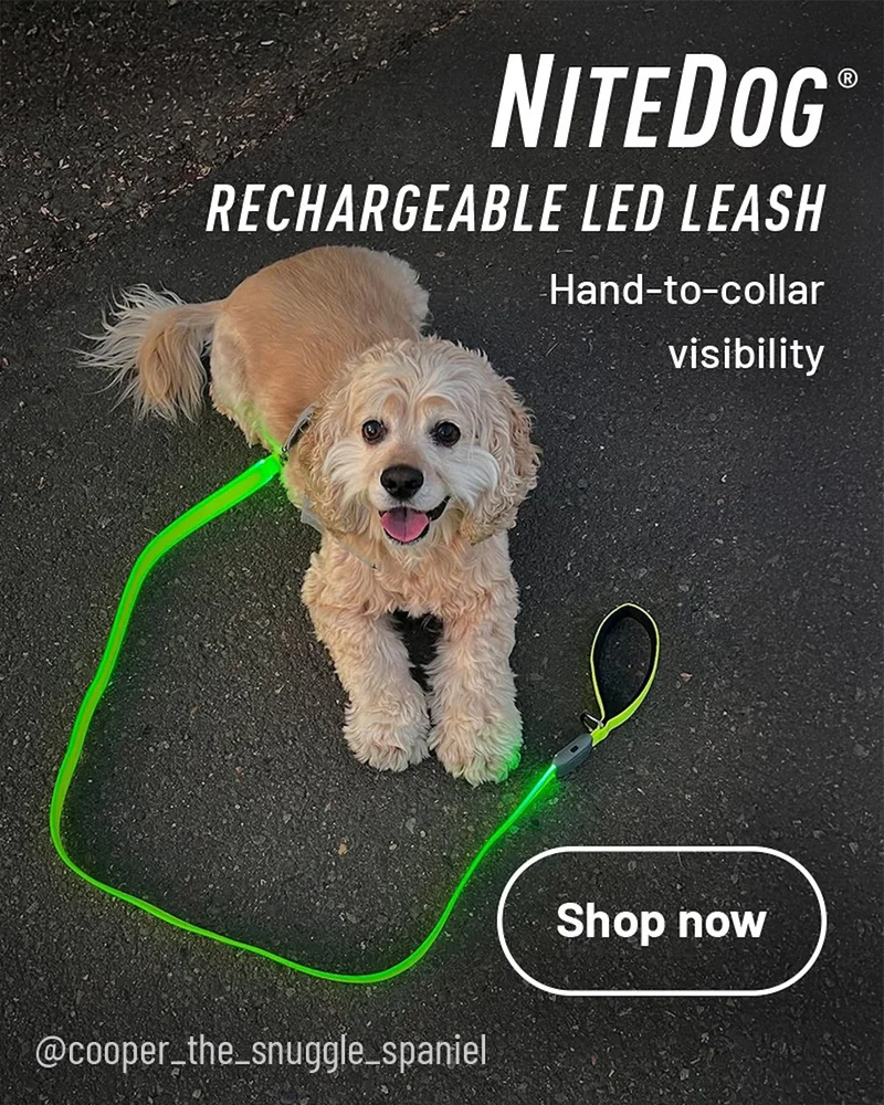 NiteDog® Rechargeable LED Leash