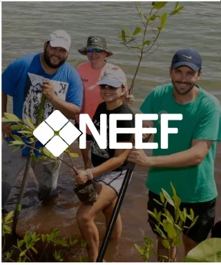 NEEF Events