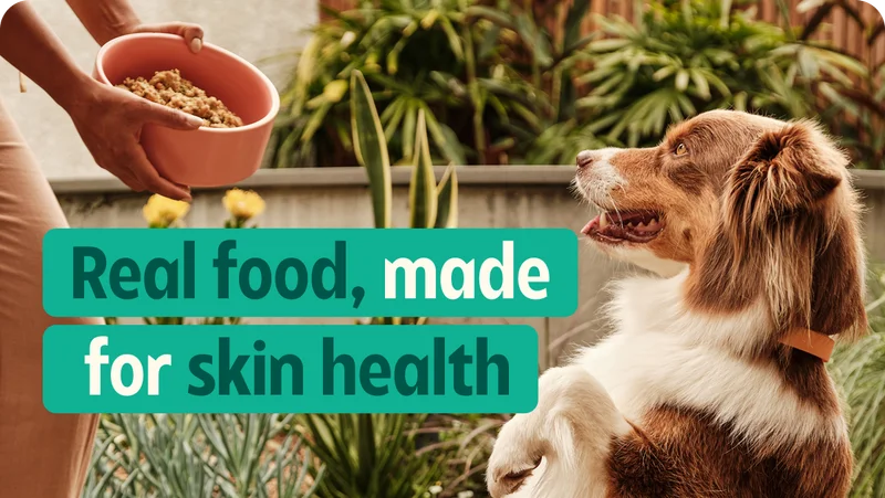 Digestive health starts in the bowl.