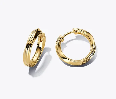 Twisted Hoop Earrings