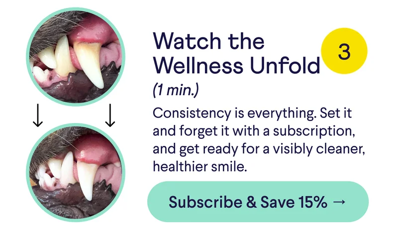 Text: Watch the Wellness Unfold (1 min.) Consistency is everything. Set it and forget it with a subscription, and get ready for a visibly cleaner, healthier smile. CTA: Subscribe & Save 15% →