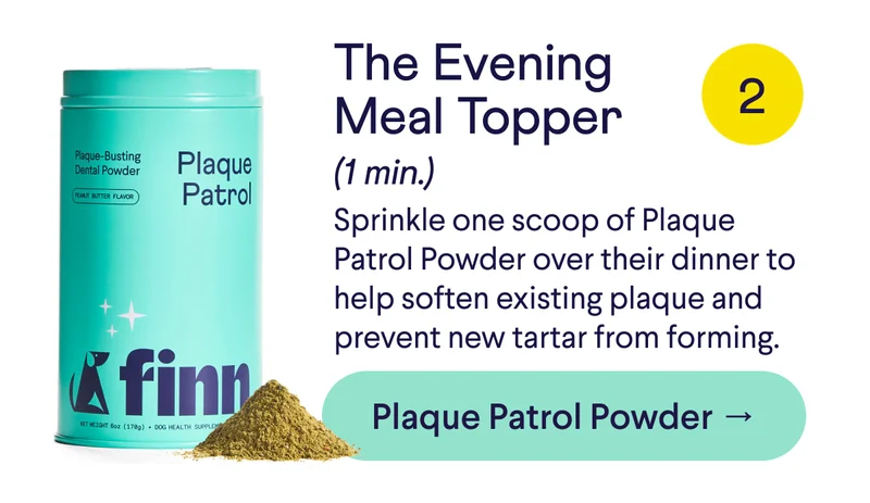 Text: The Evening Meal Topper (1 min.) Sprinkle one scoop of Plaque Patrol Powder over their dinner to help soften existing plaque and prevent new tartar from forming. CTA: Get Plaque Patrol Powder →