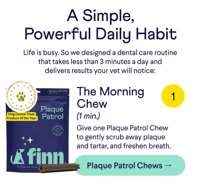 Text: A Simple, Powerful Daily Habit Life is busy. So we designed a dental care routine that takes less than 3 minutes a day and delivers results your vet will notice: The Morning Chew (1 min): Give one Plaque Patrol Chew to gently scrub away plaque and tartar and freshen breath. CTA: Get Plaque Patrol Chews →