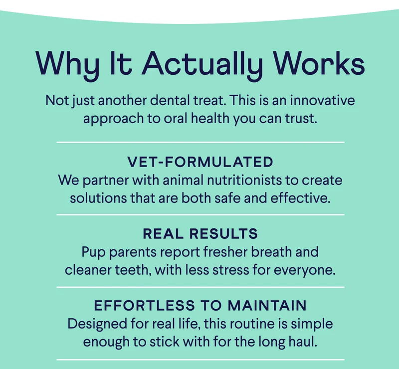 Text: Why It Actually Works– Not just another dental treat. This is an innovative approach to oral health you can trust.  Vet-Formulated We partner with animal nutritionists to create solutions that are both safe and effective.  Real Results Pup parents report fresher breath and cleaner teeth, with less stress for everyone.  Effortless to Maintain Designed for real life, this routine is simple enough to stick with for the long haul.