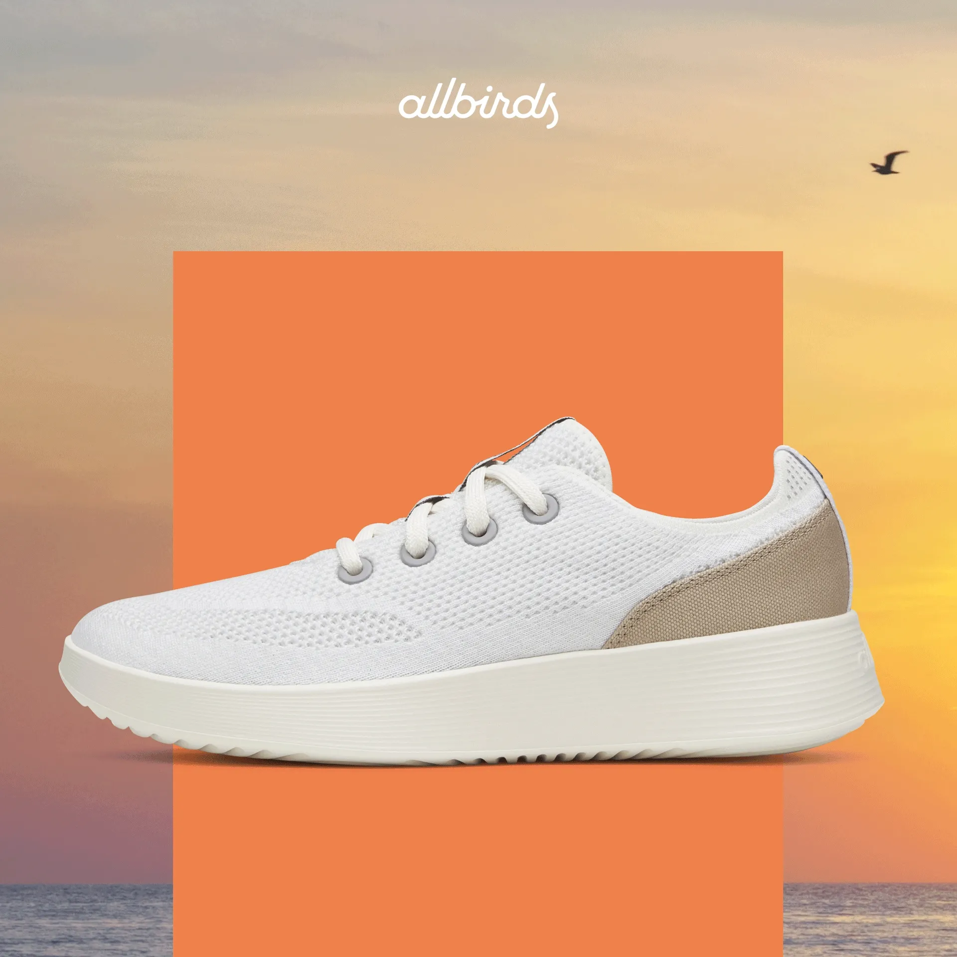 Allbirds Travel Collection