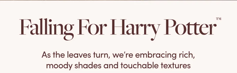 Shop Harry Potter