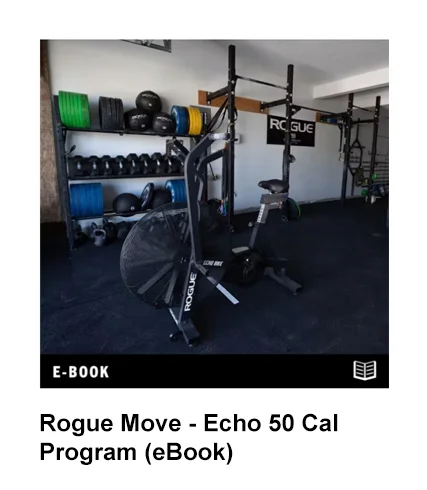 Rogue Move - Echo 50 Cal Program (eBook)