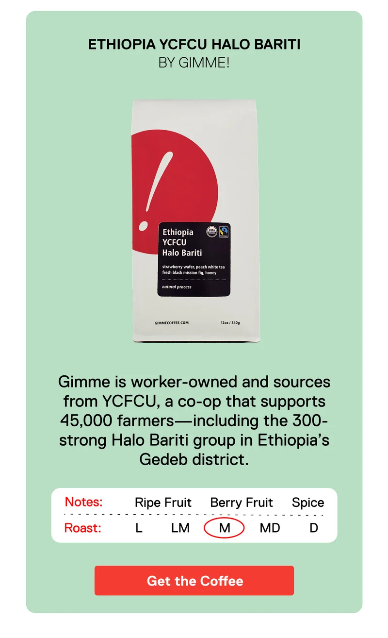 Ethiopia YCFCU Halo Bariti by Gimme!