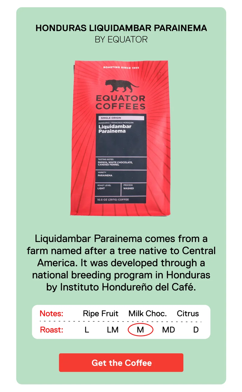 Honduras Liquidambar Parainema by Equator