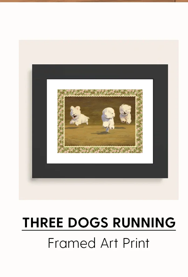 Three Dogs Running | Framed Art Print