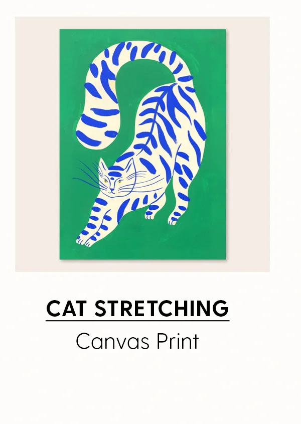 Cat Stretching | Canvas Print