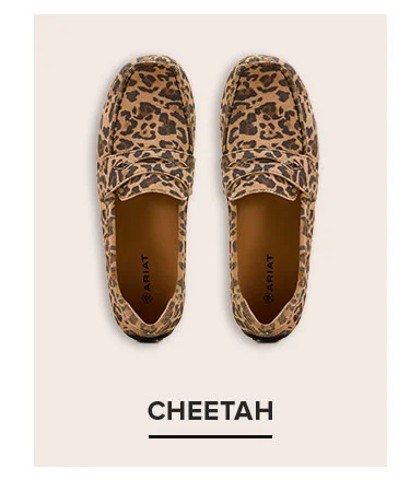 CHEETAH