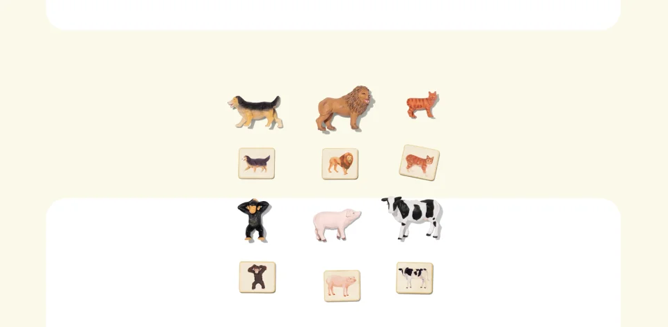Montessori Animal Match
