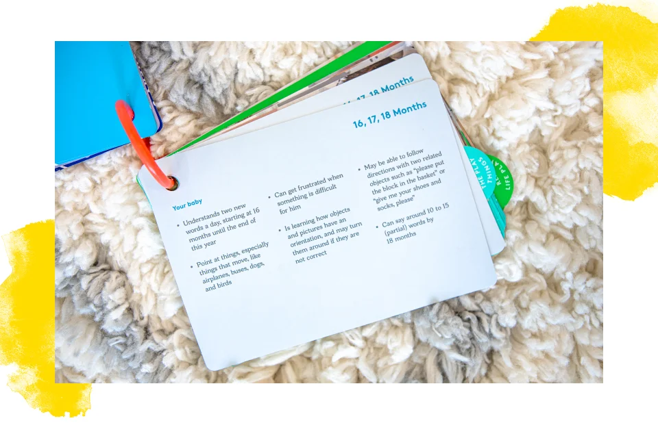 The play guide