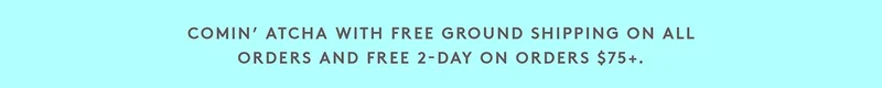 Free Shipping Skinny Banner