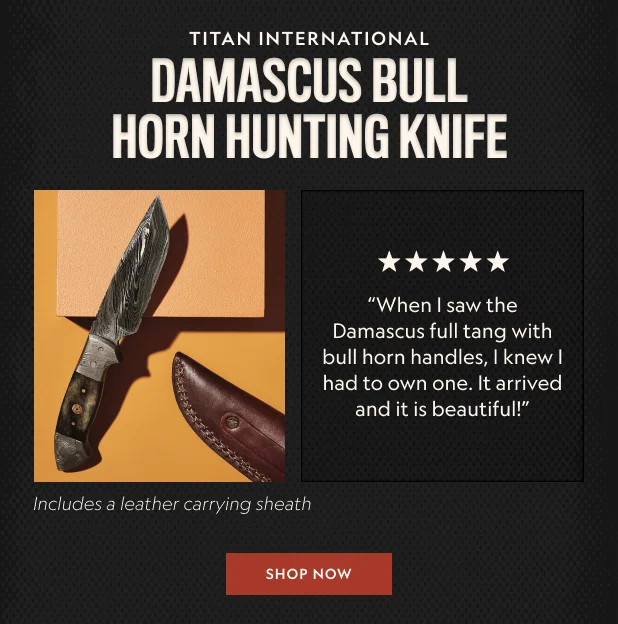 Damascus Bull Horn Hunting Knife
