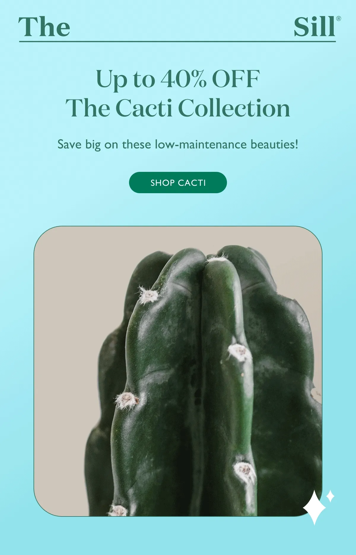 Enjoy 40% OFF our Cacti Collection! Save big on these low-maintenance beauties while you can. Shop now.