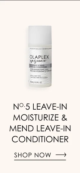 No.5 Leave-In Moisturize & Mend Leave-In Conditioner | Shop Now