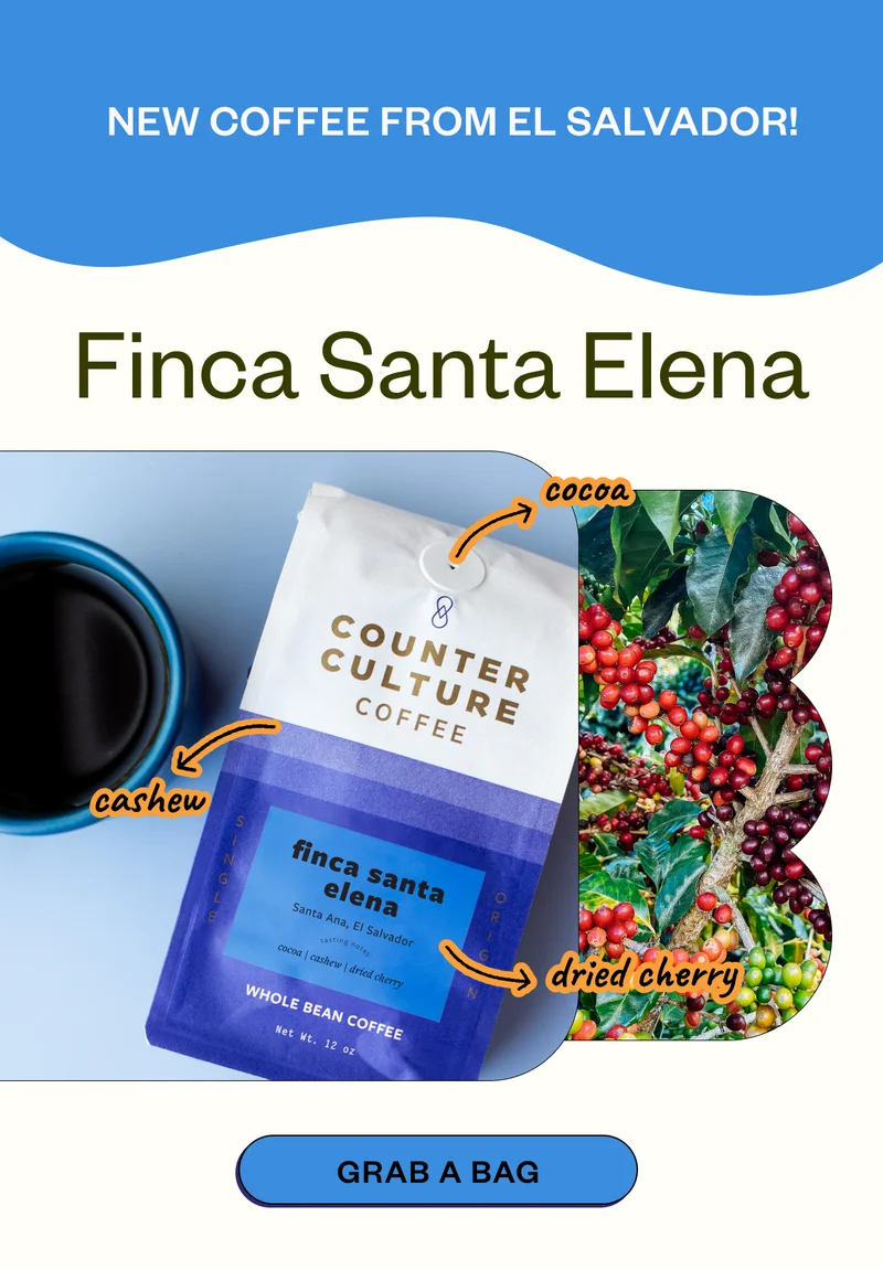 New Coffee from El Salvador! Finca Santa Elena Cashew Cocoa Dried Cherry Grab a Bag