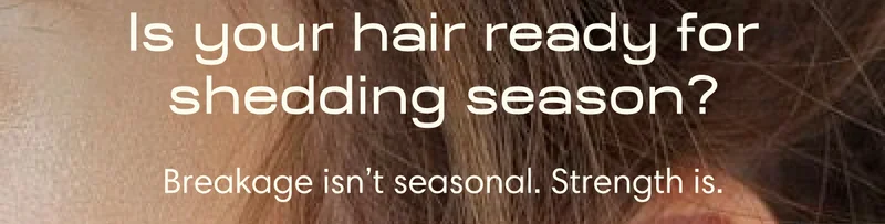 Is your hair ready for shedding season?  Breakage isn’t seasonal. Strength is.