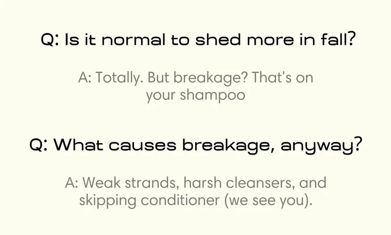 Q: Is it normal to shed more in fall? A: Totally. But breakage? That's on your shampoo Q: What causes breakage, anyway? A: Weak strands, harsh cleansers, and skipping conditioner (we see you).