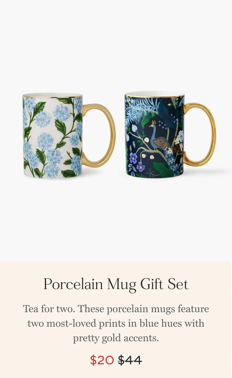 Blue Floral Porcelain Mugs Gift Set