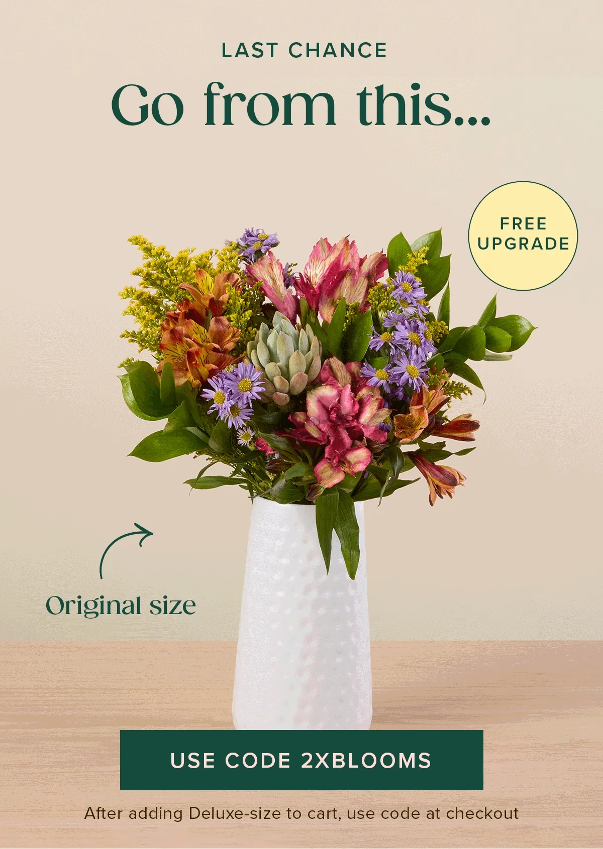 LAST CHANCE: Free Upgrade! Go from an original...to a deluxe for FREE! Use code 2XBLOOMS. After adding Deluxe-size to cart, use code at checkout LAST CHANCE: Free Upgrade! Go from an original...to a deluxe for FREE! Use code 2XBLOOMS. After adding Deluxe-size to cart, use code at checkout