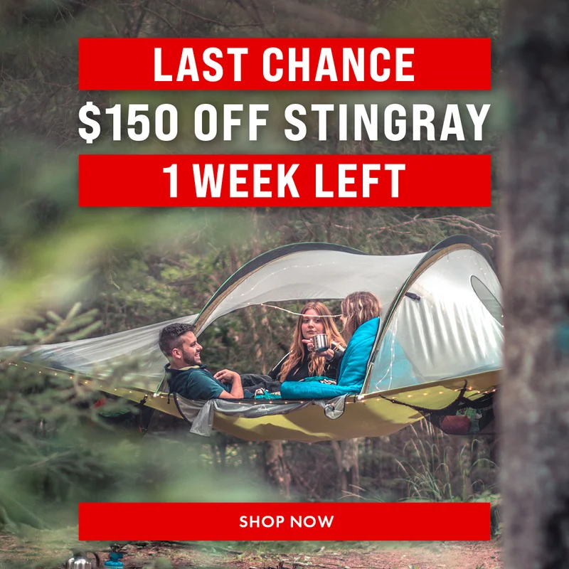 Stingray - 1 Week Left