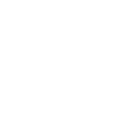 50MP camera system with OIS icon