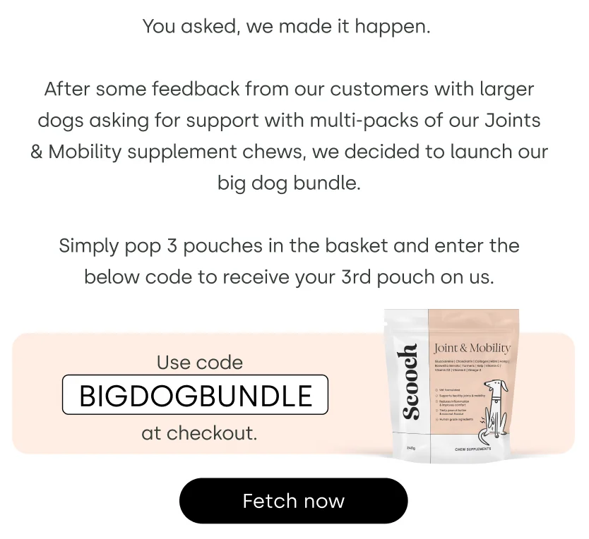 bigdogbundle