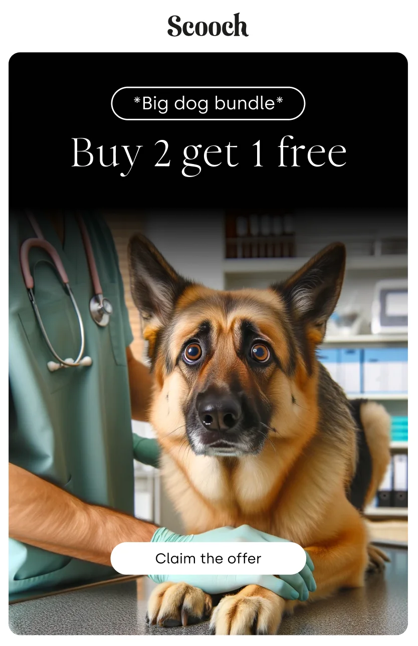 Buy 2 get 1 free joints supplements
