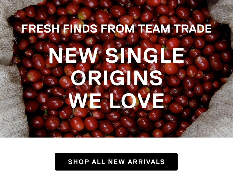 Fresh finds from Team Trade. Shop New Arrivals.
