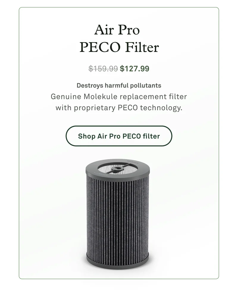 Air Pro PECO filter