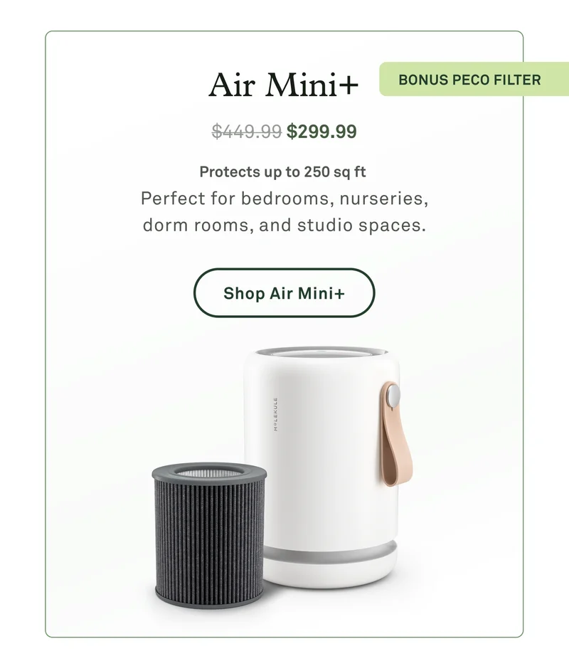 Air Mini+ with Bonus PECO filter