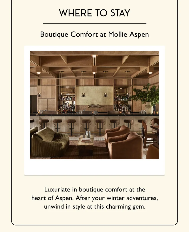 Where to Stay - Boutique Comfort at Mollie Aspen - Luxuriate in boutique comfort at the heart of Aspen. After your winter adventures, unwind in style at this charming gem.
