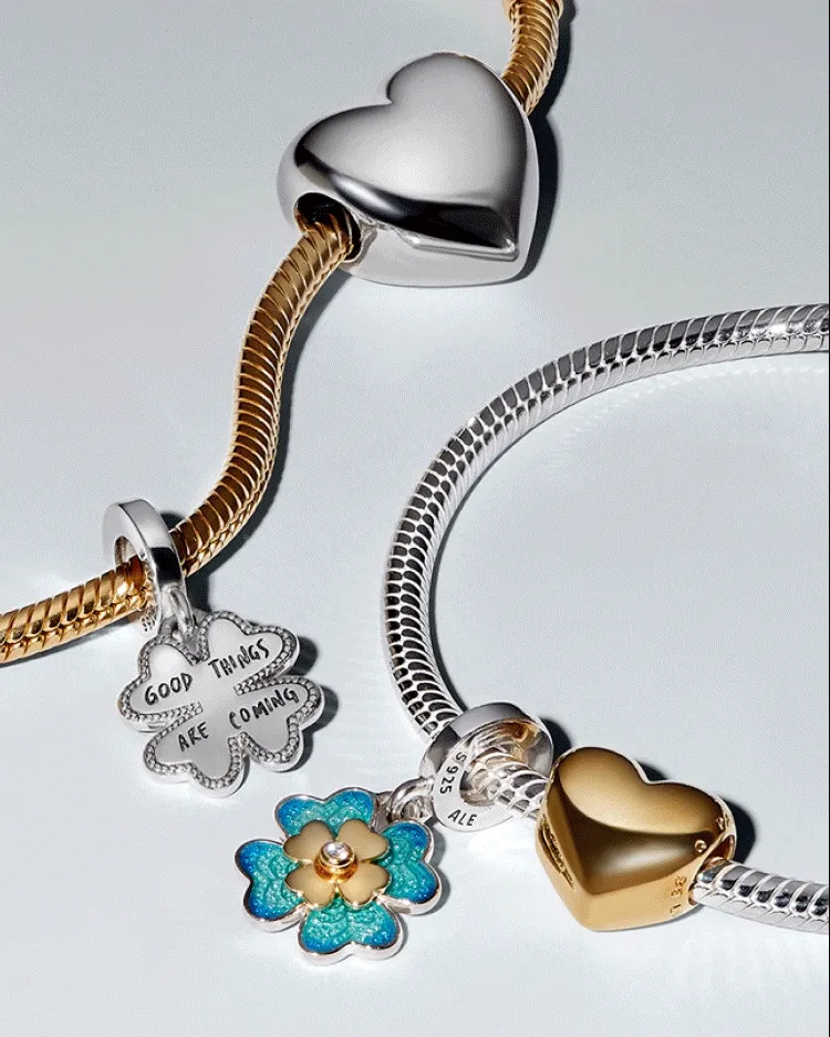 2025 My Pandora Charm 2025 My Pandora Charm