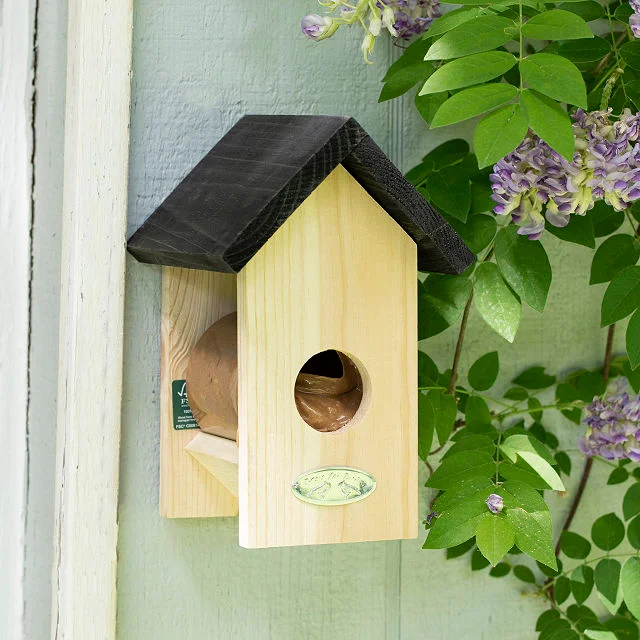 Peanut Butter & Jelly Bird Feeder