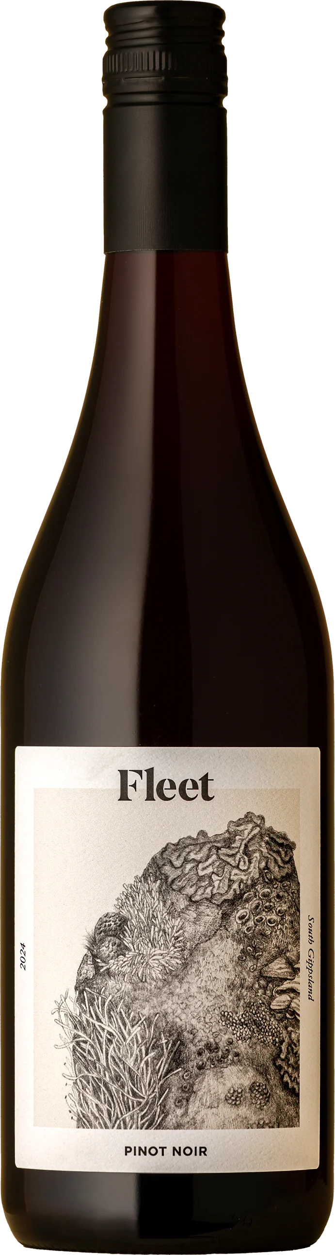 Image of Fleet<br>Lichen Pinot Noir 2024