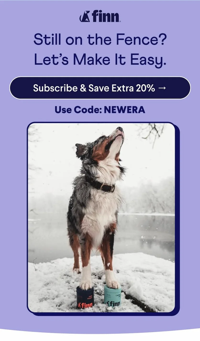 Finn Logo. Text: Still on the Fence? Let’s Make It Easy. CTA: Subscribe & Save Extra 20% → Use Code: NEWERA