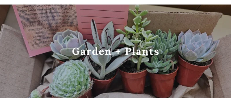 Shop Fresh Plants and Green Finds