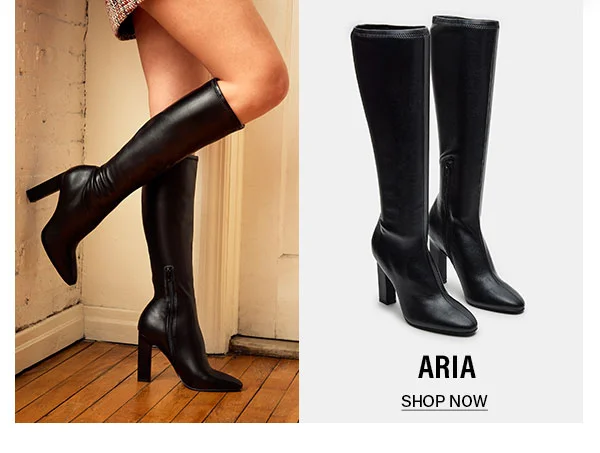 Aria
