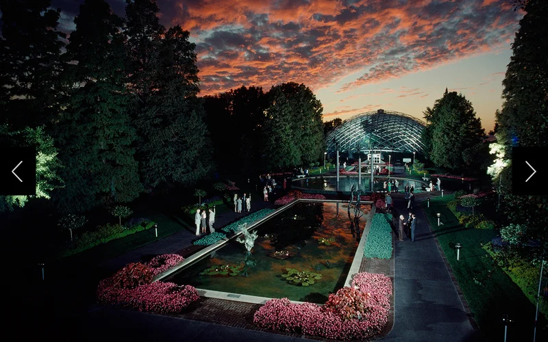 Reflected grace from an autumn sky bathes the Missouri Botanical Garden during a plant symposium.